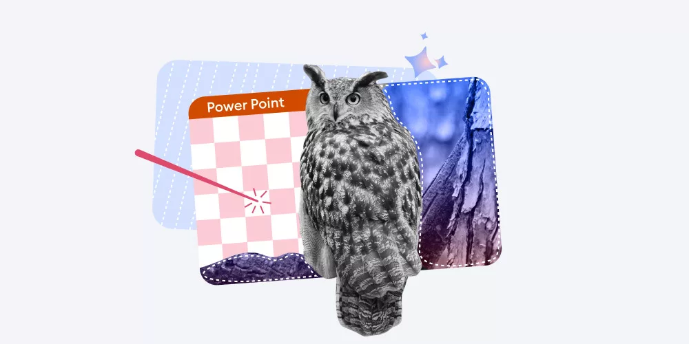 How to remove a picture background in PPT How to remove a picture background in PPT
