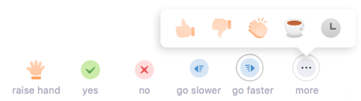 Feedback options in Zoom Feedback features in Zoom