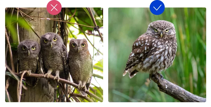 Cluttered vs blurred background Cluttered vs blurred background