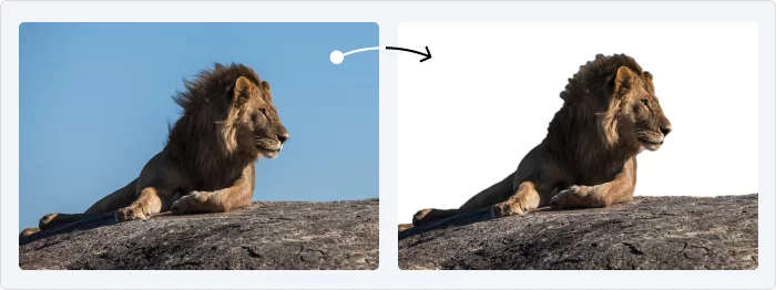 When the Remove Background tool doesn’t work When the Remove Background tool doesn’t work