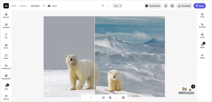 The Adobe Express interface Adobe Express